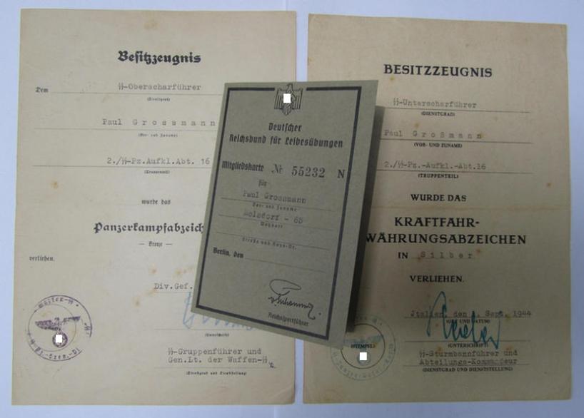  3-pieced Waffen-SS document-grouping